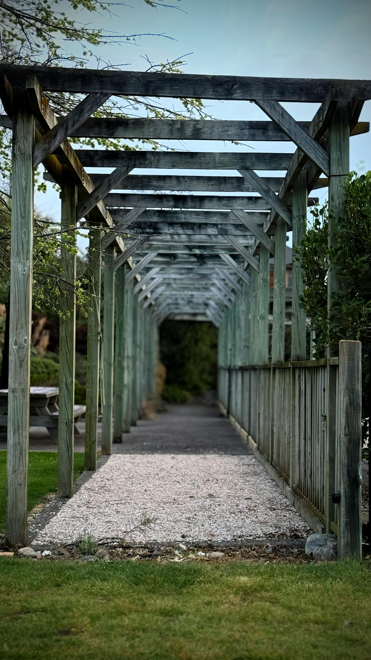 Pergolados em Madeira